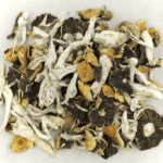 BUY ALACABENZI MUSHROOMS ONLINE, BUY PSYCHEDELICS MUSHROOMS ONLINE, BUY PSILOCYBIN MUSHROOMS ONLINE