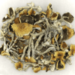 BUY DADDY LONG LEGS MUSHROOM, BUY PSYCHEDELIC MUSHROOMS ONLINE, BUY MAGIC MUSHROOMS ONLINE, BUY PSILOCYBIN MUSHROOMS ONLINE