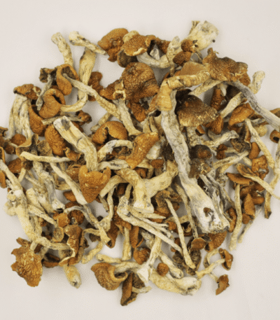 BUY ECUADOR MAGIC MUSHROOMS, BUY MAGIC MUSHROOMS ONLINE, BUY PSYCHEDELIC MUSHROOMS ONLINE, BUY PSILOCYBIN MUSHROOMS ONLINE