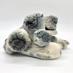 BUY ALBINO PENIS ENVY MUSHROOM ONLINE, ALBINO PENIS ENVY MUSHROOMS, BUY PSYCHEDELIC MUSHROOMS ONLINE, BUY MEDICATED MUSHROOMS ONLINE